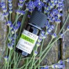 Lavender essential oil 10ml